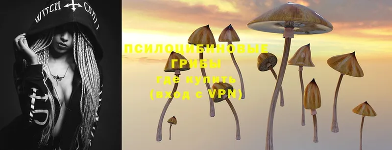 Псилоцибиновые грибы MAGIC MUSHROOMS  закладка  Ряжск 